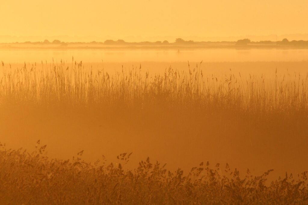 ASDに最適なベルトとブランコのフックの選び方は？