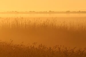 ASDに最適なベルトとブランコのフックの選び方は？