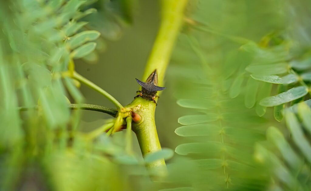 ASDエアーホッパーのバウンス効果はどのように楽しむことができる？
