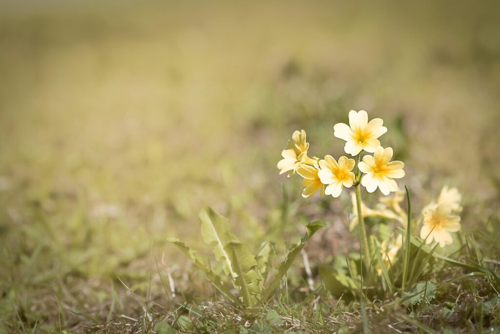 ASD用ノンスリップマットの滑り止め効果はどのくらい？