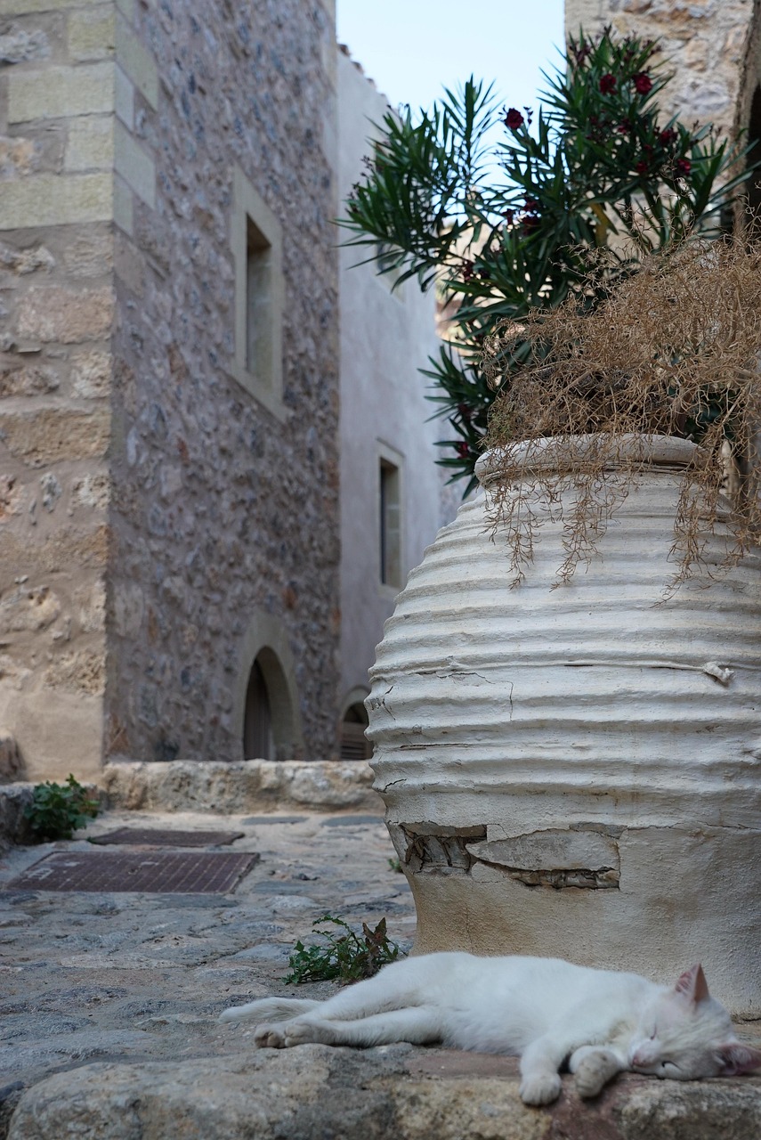 自閉症の子どもが圧迫感を和らげてくつろげるポッドスイングとは？