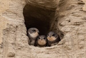 自閉症の子どもにおすすめのサンドバッグパンチ遊具は？