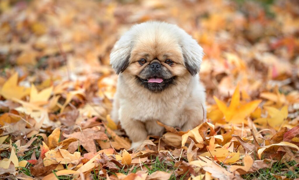 ASDの遊具の効果はどれくらい？