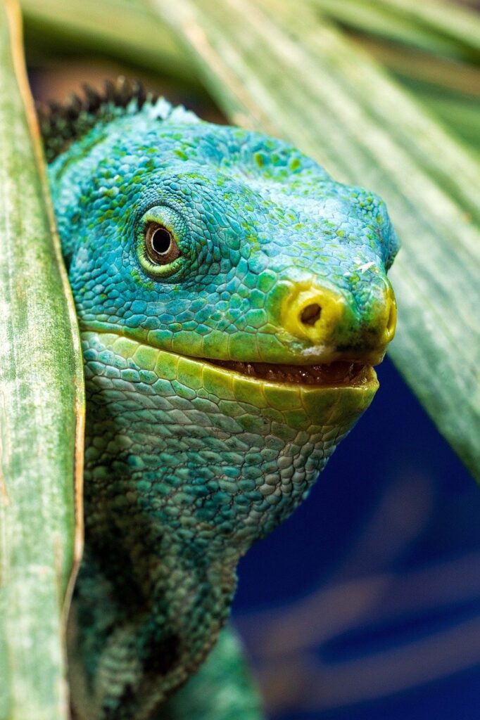 ASDフィジーのパッドフォームマットはどんな効果があるの？