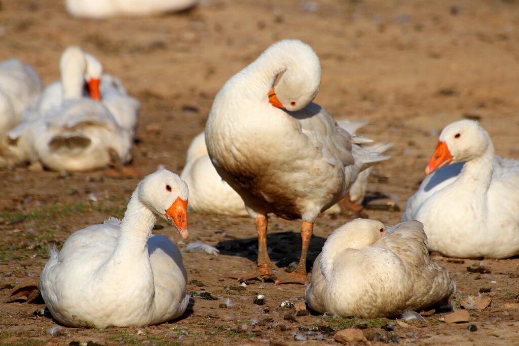 ASDに最適な遊具で人気のメーカーはどこですか？