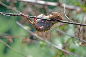 ASDの遊具で人気のメーカーはどこですか？