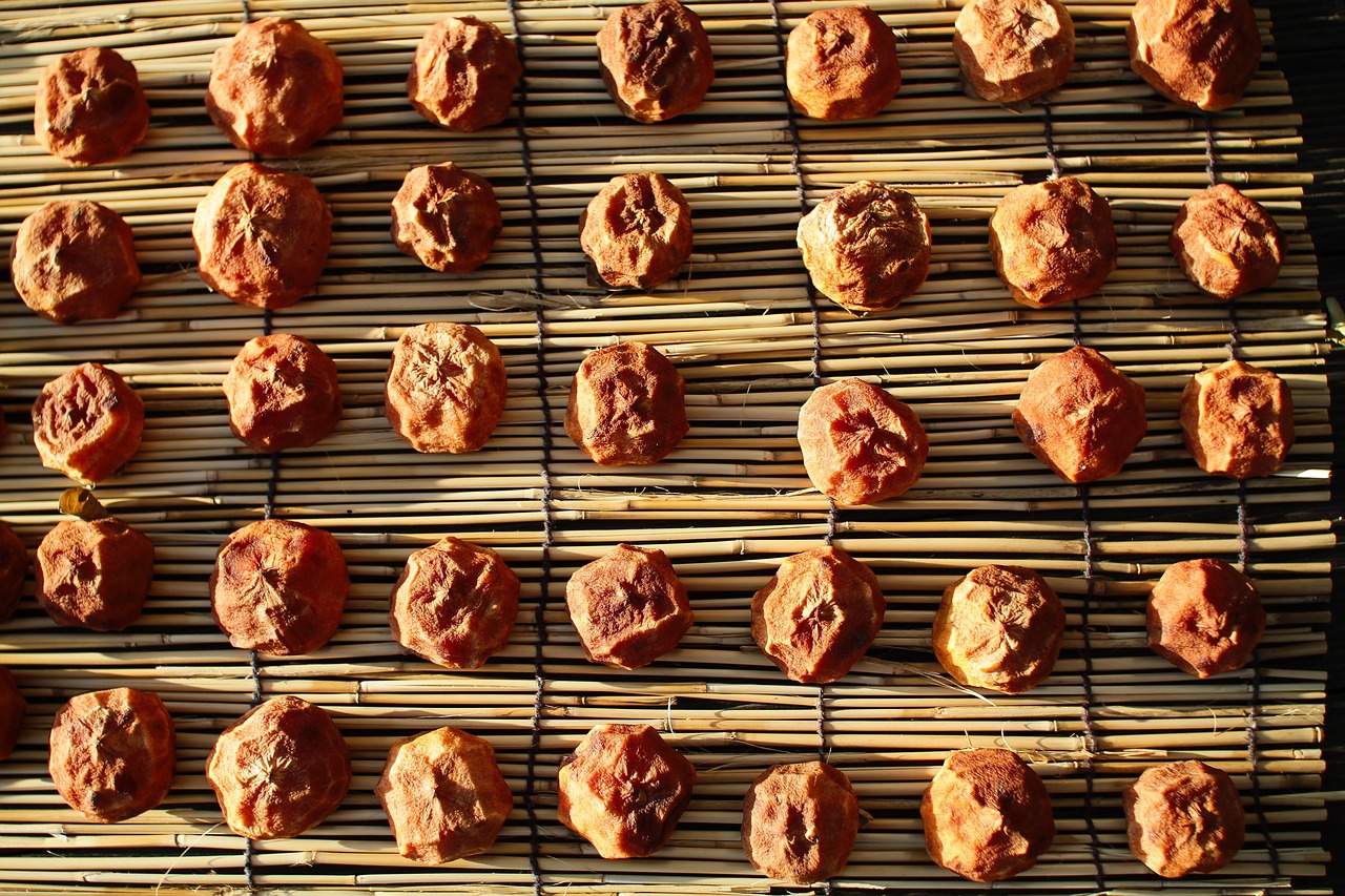 固有受容感覚の発達に効果的な遊具は？