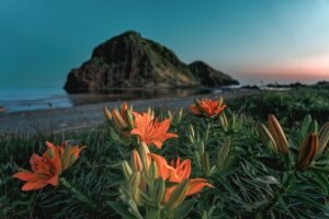 自閉症の子どもが固有の受容を覚えるために効果的な遊具は？