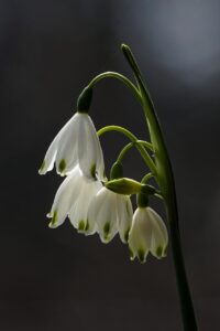 STEMを活用した遊びでASDの子どもにどんな効果があるの？