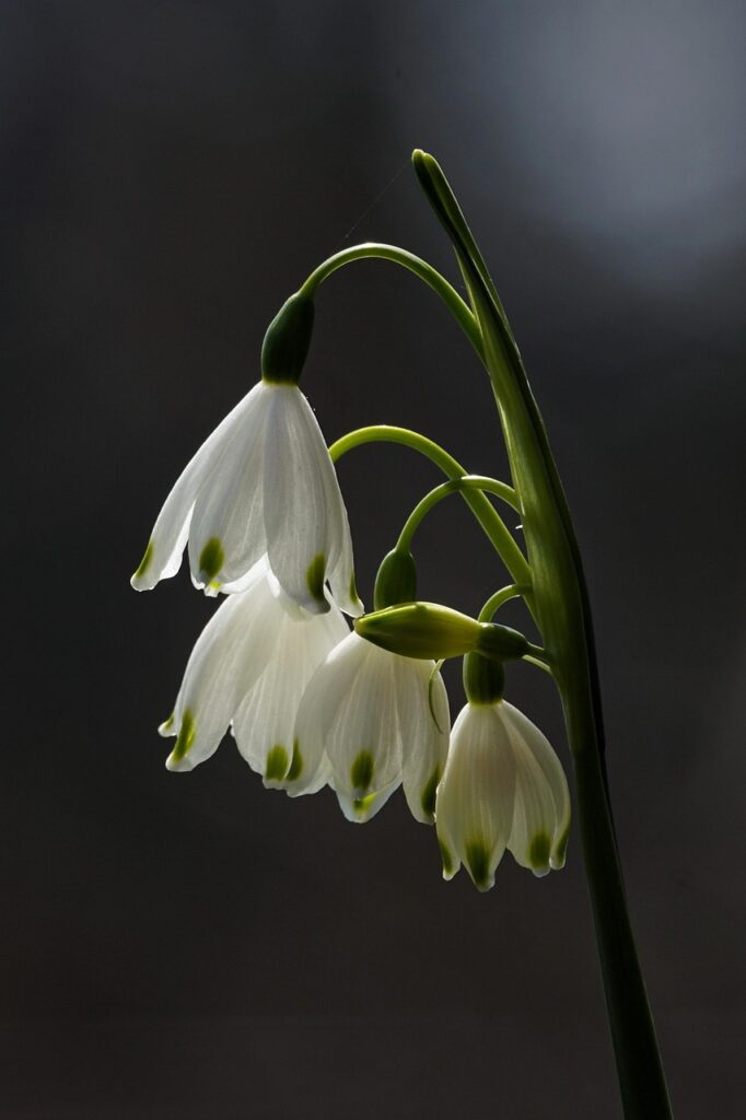 STEMを活用した遊びでASDの子どもにどんな効果があるの？