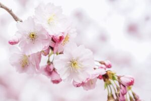 ASDの子どもに感覚統合遊具は本当に必要か？