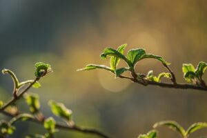 自閉症の中学生に遊びは必要か？