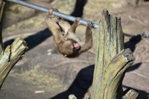 遊具の失敗しない選び方は何？